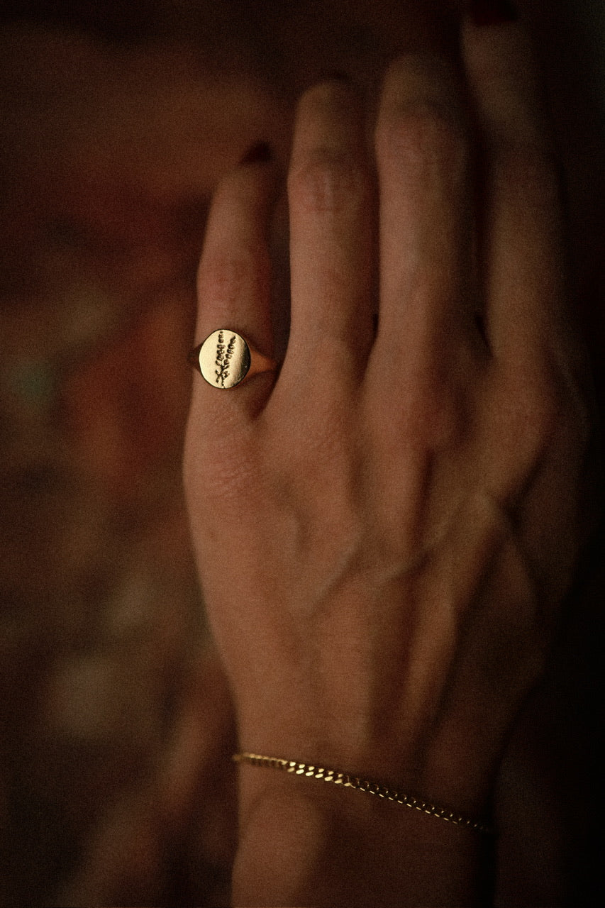 ANEL LILAC