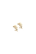 BRINCO BLOOM